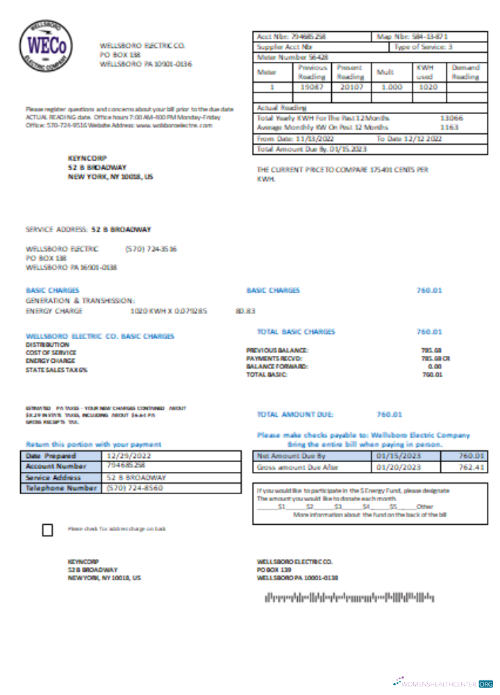Download Wellsboro Electric Co utility business bill, SCR Photoshop template